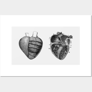 Heart Diagram - Dual View - Vintage Anatomy Posters and Art